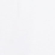 Immagine prodotto 5